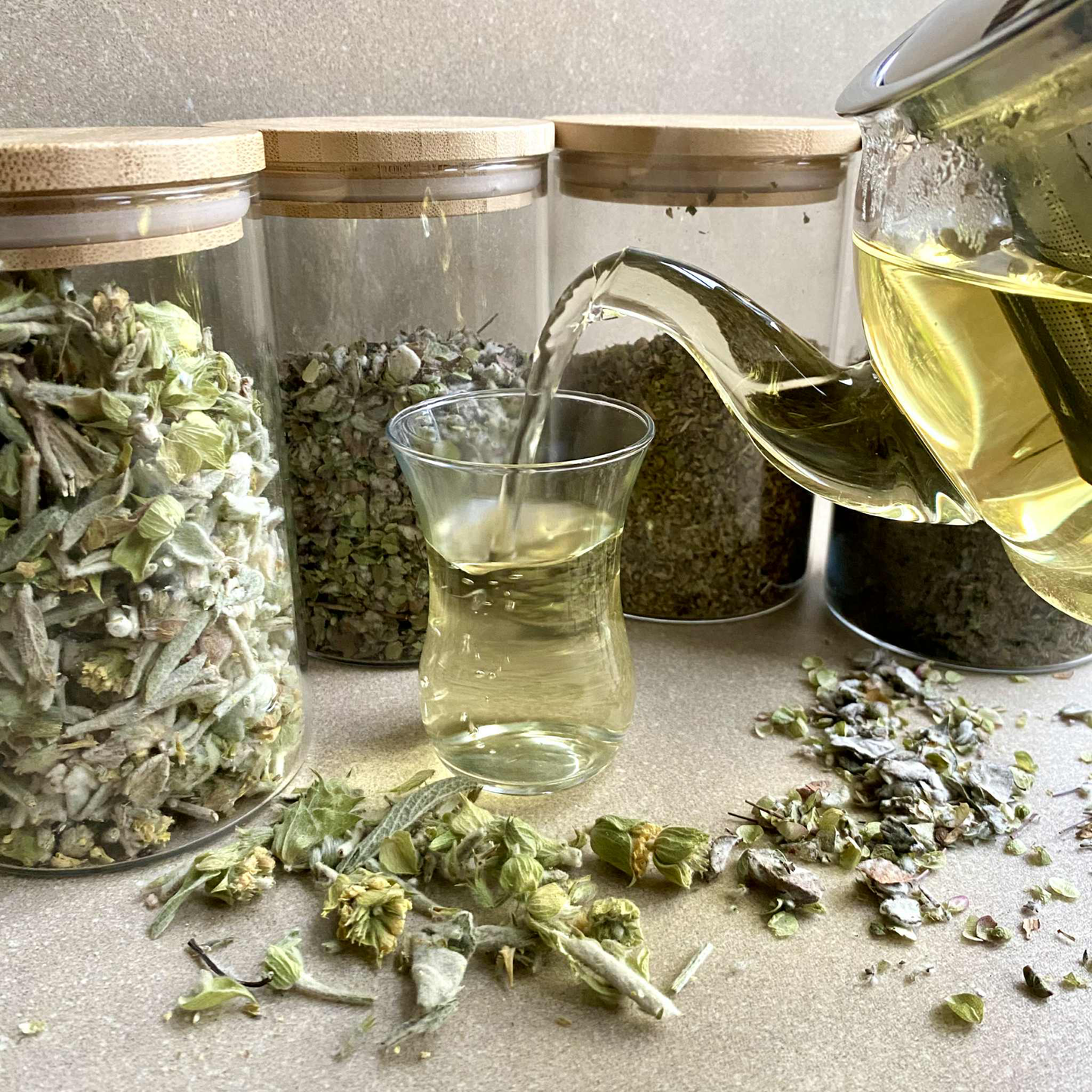 Malotira or Mountain Tea